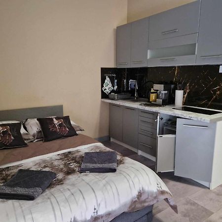 Apartament Lesny Zakatek Nr 2 Radzyń Zewnętrze zdjęcie