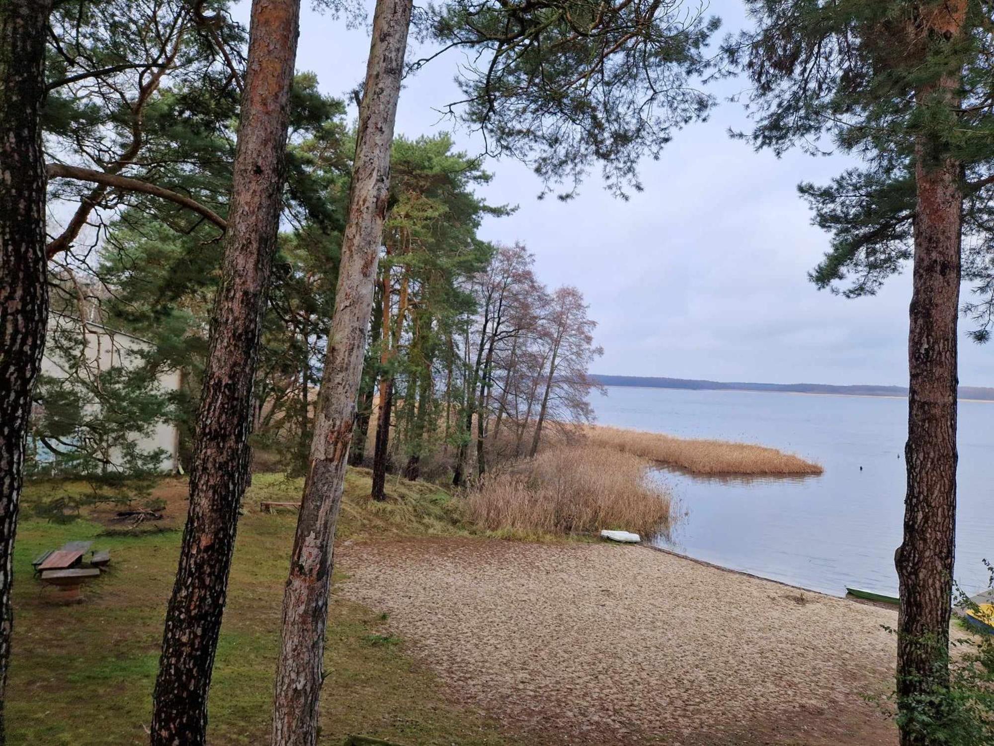 Apartament Lesny Zakatek Nr 2 Radzyń Zewnętrze zdjęcie