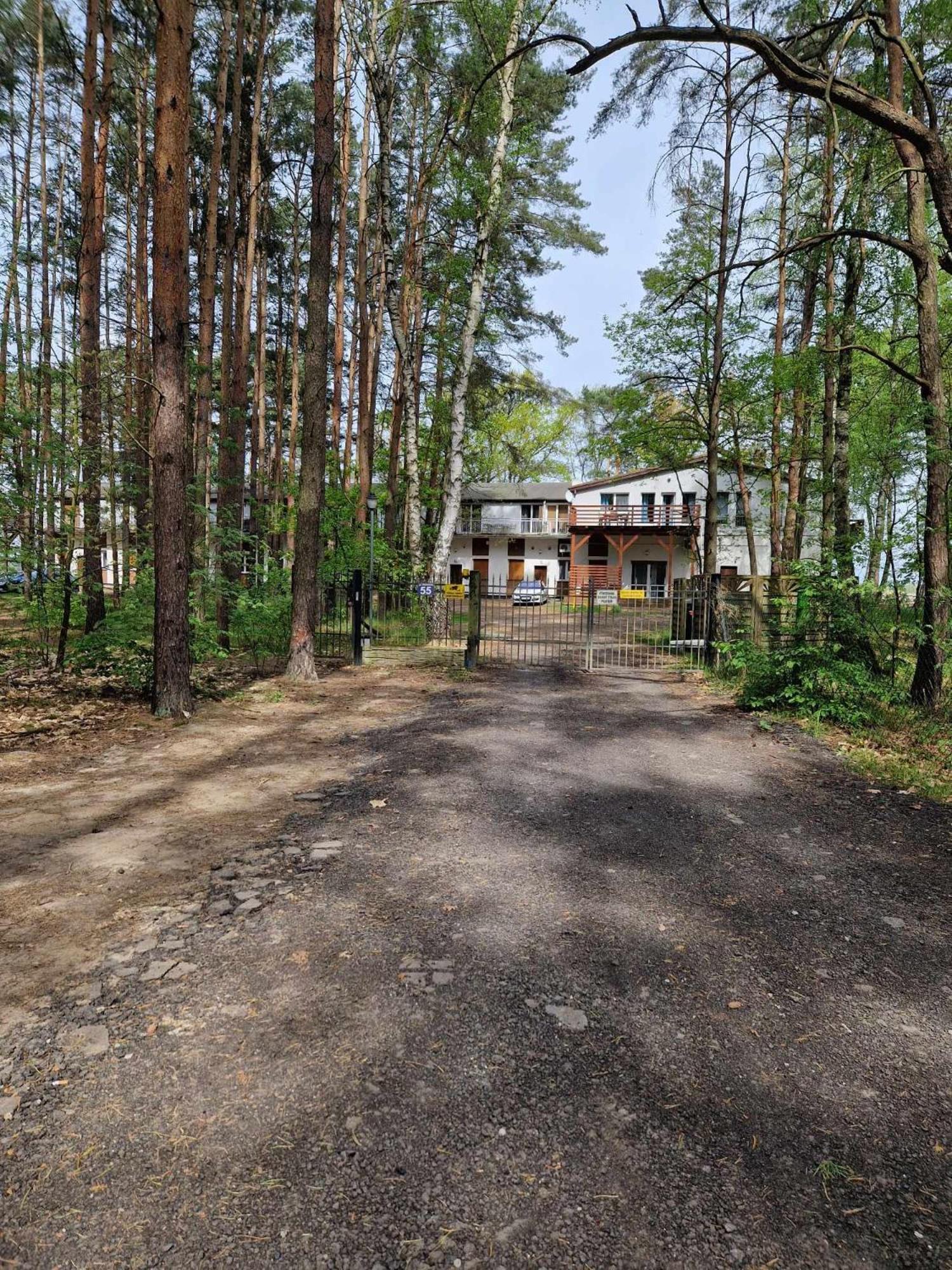 Apartament Lesny Zakatek Nr 2 Radzyń Zewnętrze zdjęcie
